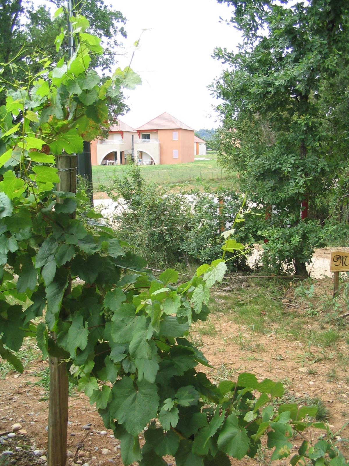 Hotel Terres De France - Domaine De Claire Rive Prayssac Exterior foto